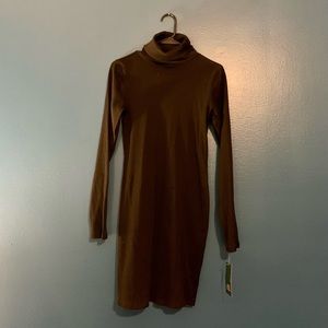 Brand New Ribbed Turtleneck Dress